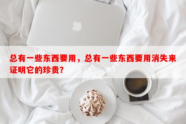 总有一些东西要用，总有一些东西要用消失来证明它的珍贵？