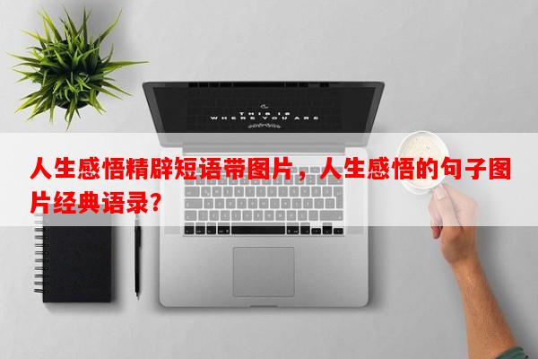 人生感悟精辟短语带图片，人生感悟的句子图片经典语录？-第1张图片-乐逗网